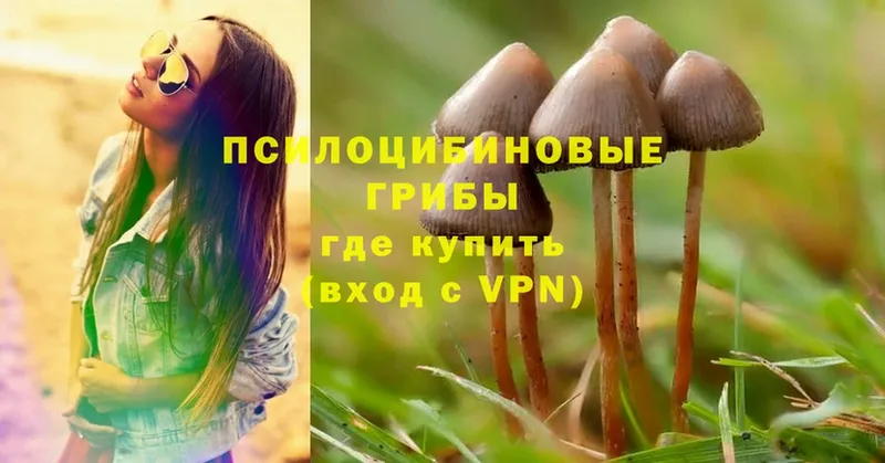 где купить наркотик  Рязань  гидра зеркало  Галлюциногенные грибы MAGIC MUSHROOMS 